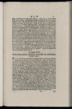 Tabula XVI. Beschreibung zweyer besondern Grundrisse mit geschlossenen Stuffen-Zargen.