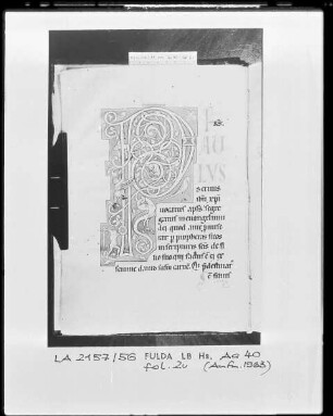 Epistolar — Initiale P (aulus), darin allerlei Drolerien, Folio 2verso