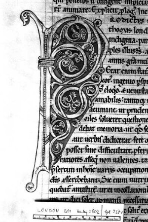 Rankeninitiale P, Folio 227 verso