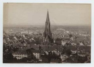 Münster, Freiburg/Breisgau Blick vom Schlossberg auf die Altstadt und das Münster: Ansicht
