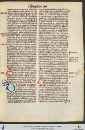 Argumentum