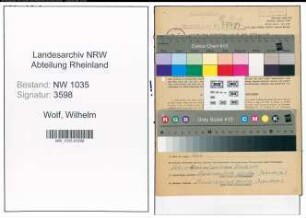 Entnazifizierung Wilhelm Wolf , geb. 20.11.1904 (Steiger)