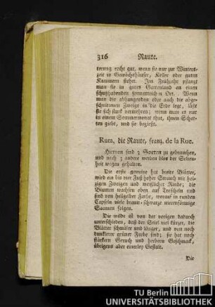 Ruta, die Raute, franz. de la Rue.