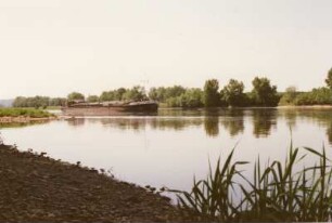 Dresden-Pillnitz. An der Elbe, aufgenommen Juni 1993