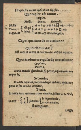 Caput quartum de mutatione.