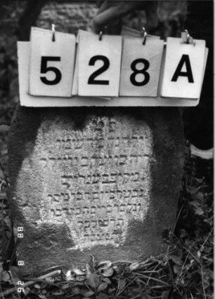 Grabstein 528 (Index: 100095163) Maße HxBxT: 54x36x10 cm Besonderheit: Kindergrab: Grabstein 528A