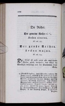 Die Reiher.