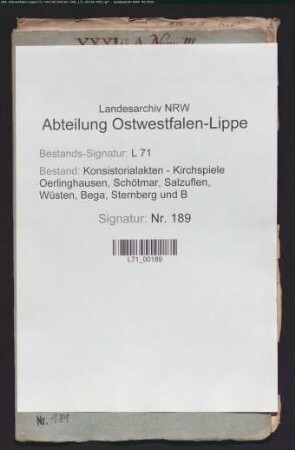Neubau und Reparatur der Orgel