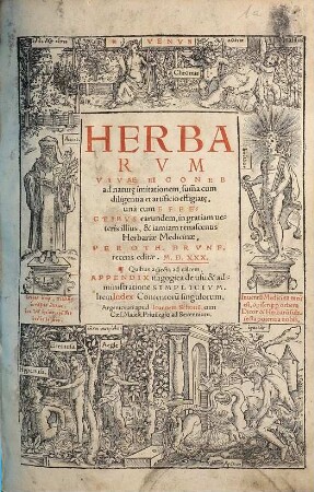 Herbarvm Vivae Eicones : ad natur[a]e imitationem, sum[m]a cum diligentia et artificio effigiat[a]e, una cum Effectibvs earundem, in gratiam ueteris illius, & iamiam renascentis Herbariae Medicinae