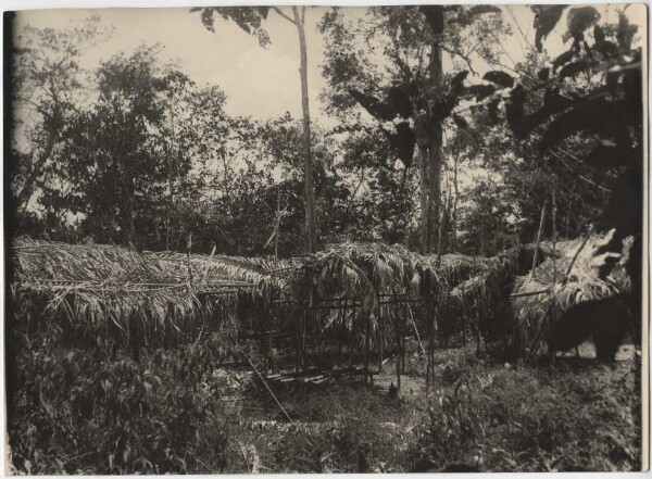 Camp abandonné des Katukina