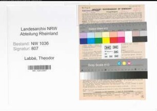 Entnazifizierung Theodor Labbé , geb. 09.04.1890 (Bauingenieur)