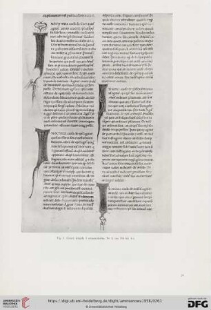 Ilustracje (Fig. 1 - 256)