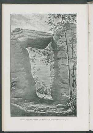 Puente natural sobre las montañas Kaaterskill. - E. U. A. [Grabado]