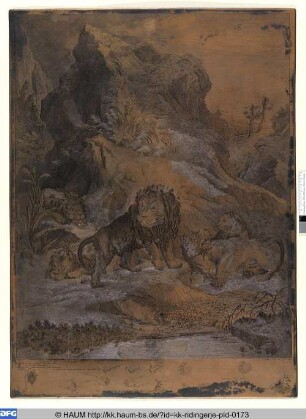 Drei alte Löwen, nebst Löwin und Jungen