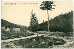 Hirschsprung bei Altenberg