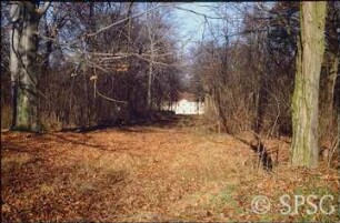 Potsdam, Park Sacrow, Trasse der erhemaligen Kastanienallee in der Schlossachse.