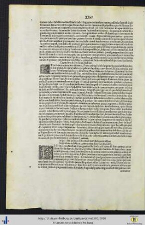 Incipit liber quintus...