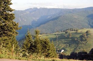 Schauinsland: Feldberg mit Schneehaube; vom Schauinsland