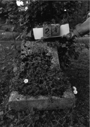Grabstein 21