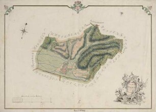 Topographischer Plan von Steinen