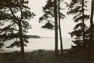 Insel Rügen. Lietzow. Blick über den Kleinen Jasmunder Bodden