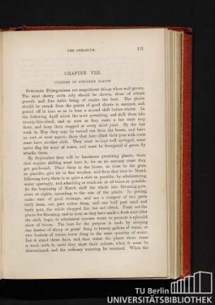 Chapter VIII. Culture of specimen plants.