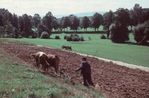 Thüringen. Pflügender Bauer