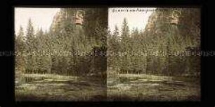 Wald und Hausgrundteich am Berg Oybin
