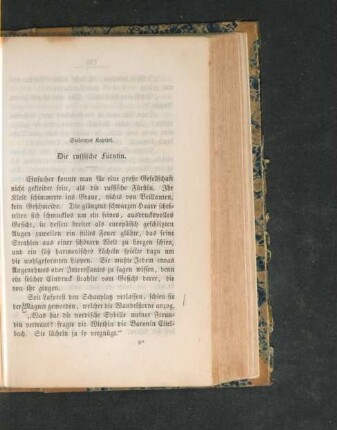 Siebentes Kapitel. Die russische Fürstin.