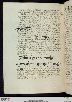 Dominica 2a post octauam penthecostes [Predigttext, Lc 14,16]
