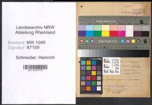 Entnazifizierung Heinrich Schneider , geb. 24.01.1896 (Schreiner)