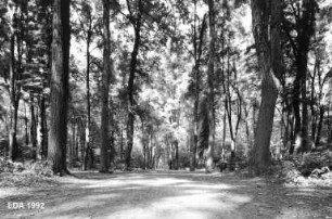Heinrich-Laehr-Park; Berlin, Steglitz-Zehlendorf