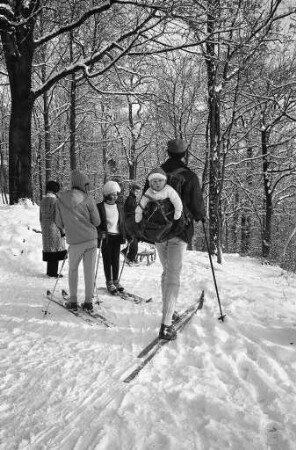 Skifahren am Turmberg