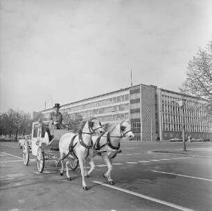 Hochzeitskutsche "Unter den Linden", Berlin-Mitte, 1968. SW-Foto © Kurt Schwarz.