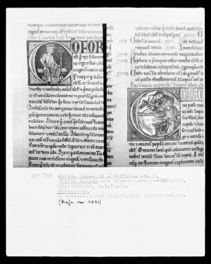 Biblia Latina: Initiale C