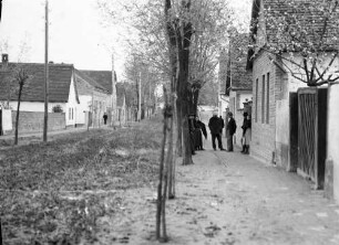 Franzenstal: andere Dorfstraße [sumpfig], mit Sumpf