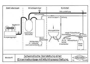 Schematische Darstellung einer Eimermelkanlage mit Milchtransportleitung