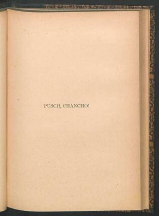 Pusch, Chancho!