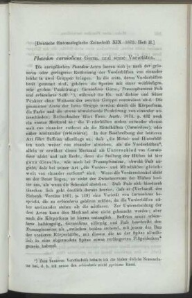 Phaedon carniolicus Germ. und seine Varietäten