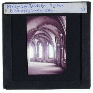 Magdeburg, Dom : Bischofsgang