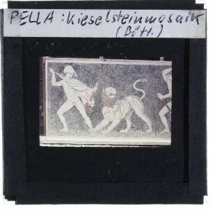 Pella, unbekanntes Mosaik