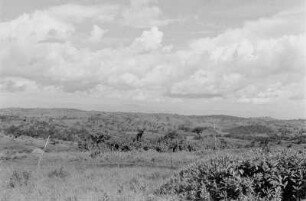 Rundblick vom Tabor-Hügel : Blick in eine Savannenlandschaft