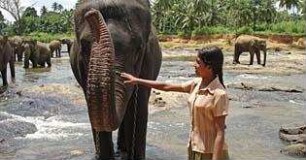 Chandani und ihr Elefant