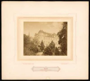 Donzdorf, Schloss
