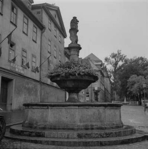 Weimar. Brunnen mit Schildlöwe