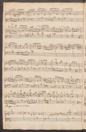 Fugen; cemb; G-Dur; BWV Anh. II 91