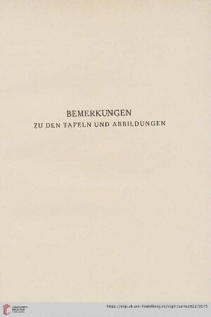 Bemerkungen zu den Tafeln und Abbildungen