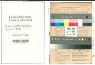 Entnazifizierung Toni Schmitz , geb. 18.07.1921 (Kontoristin)