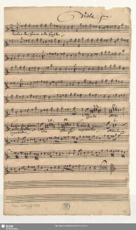 Viola. 1ma