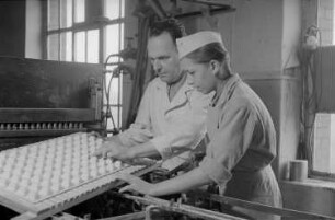 Aufnahmen einer Reportage aus der Süßwarenfabrik VEB Zetti Schokoladen und Zuckerwaren Zeitz in Zeitz